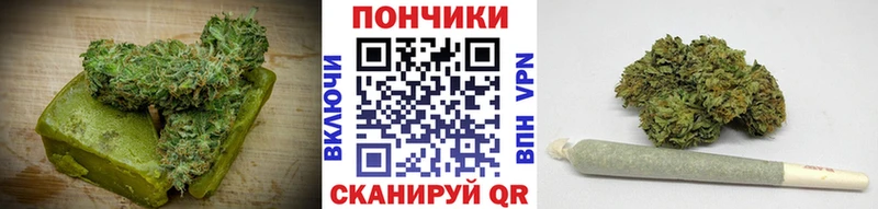 купить наркотики сайты  Можга  Печенье с ТГК марихуана 