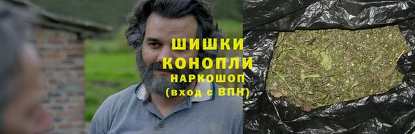 mdpv Горно-Алтайск