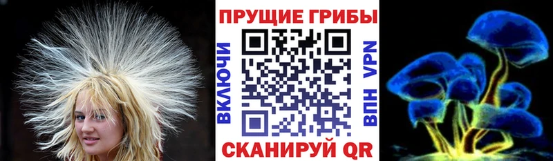 цена   Можга  Галлюциногенные грибы Cubensis 
