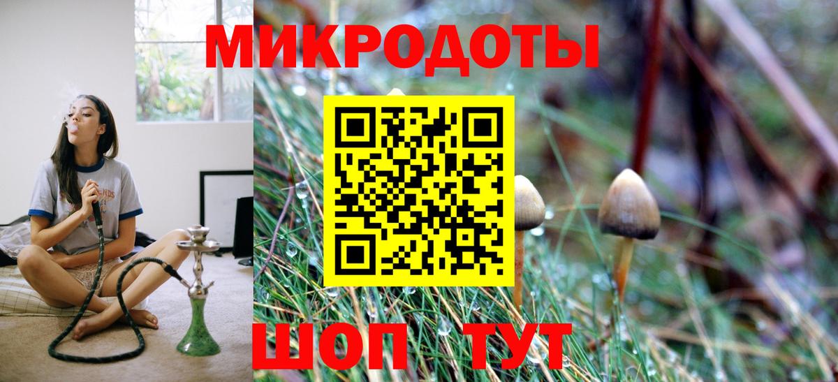 Галлюциногенные грибы мухоморы  Можга 