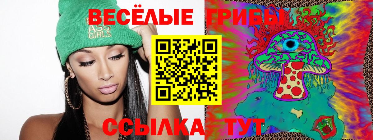 Галлюциногенные грибы MAGIC MUSHROOMS Можга